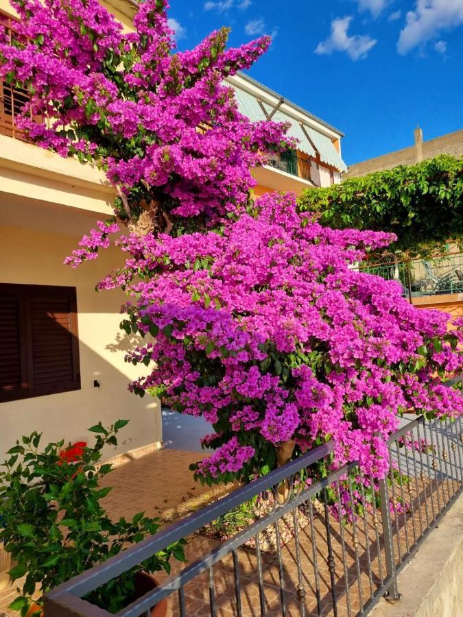 Apartman Ruza Podgora Exterior photo